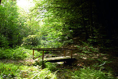 Geführte Wanderung in Weiskirchen mit Josef. © Axel Fuhrmann-Kornbust