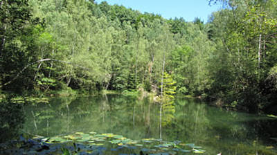 Geführte Wanderung auf dem Hochwald-Pfad