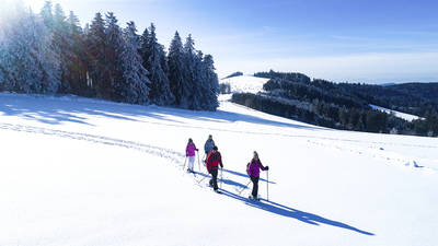 Schneeschuhwanderung mit Hütteneinkehr. (© HTG)