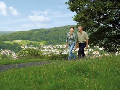 Wanderung mit dem Spessartbund Wanderung mit dem Spessartbund