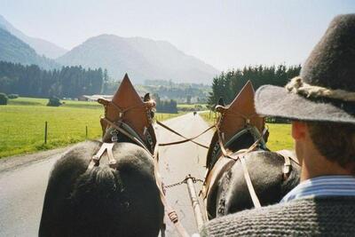 Kutschfahrten im Chiemgau