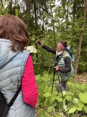 Almkräuterwanderung zur Herrenalm