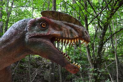 Dino-Forscher gesucht! - Kinderveranstaltung