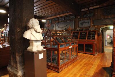 Der Leinersaal - Zeitreise in die Museumsgeschichte