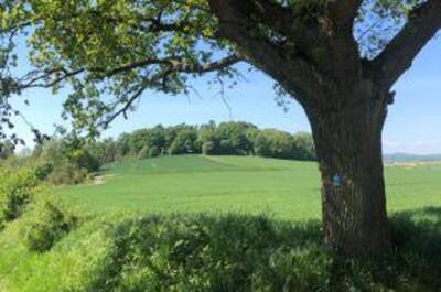 Wanderung Hoch zur Tillyschanze