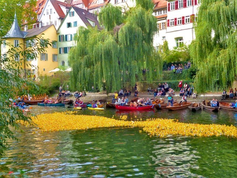 Tübinger Entenrennen Veranstaltungen tuebingeninfo.de