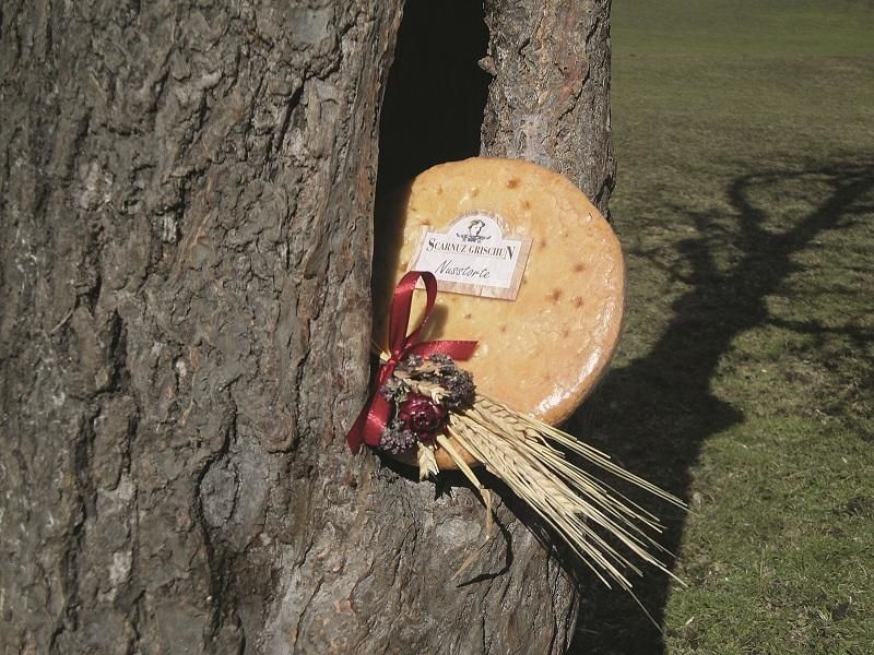 Scarnuz Grischun, Nusstorte