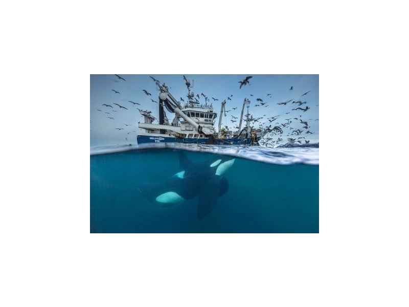 Sonderausstellung Europäischer Naturfotograf des Jahres GDT 2016