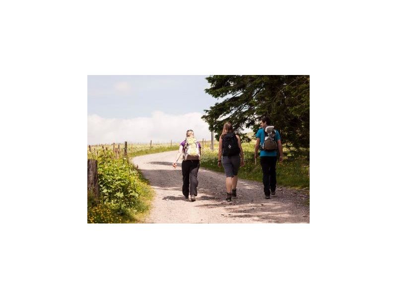 Wanderung Auf der Höhe rund um Hinterzarten