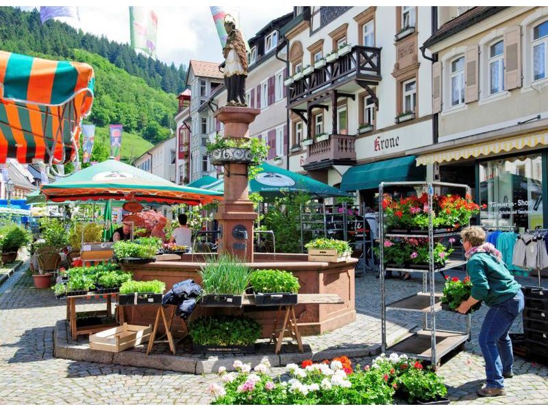 Wochenmarkt in Wolfach. © Stadt Wolfach