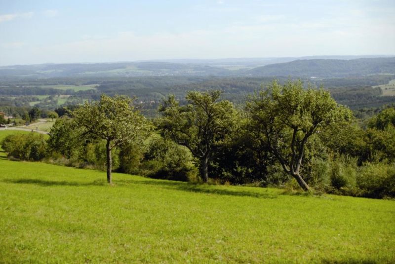 Wanderung ab Weiskirchen zur Alten Mühle Noswendel. © Hochwald-Touristik