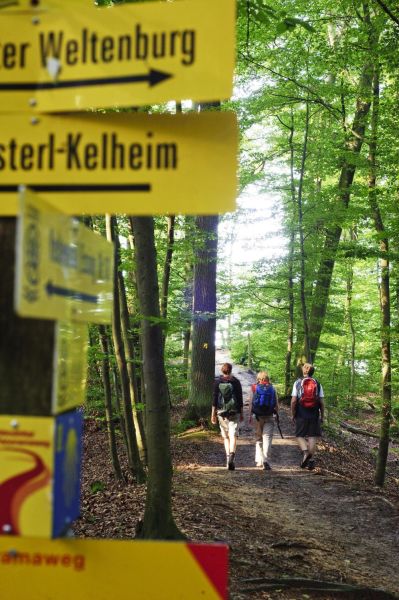 Geführte Mittwochswanderung