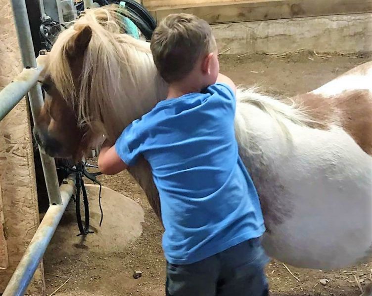 Pony Erlebnis Nachmittag. © Oelehofakademie