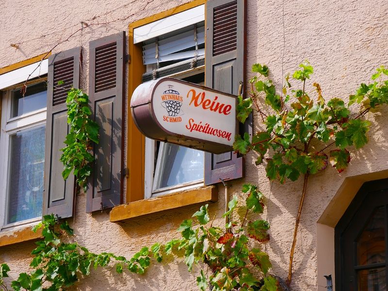 Tübinger Themenführungen: Tübinger Weingeschichten. © Foto Barbara Honner Verkehrsverein Tübingen