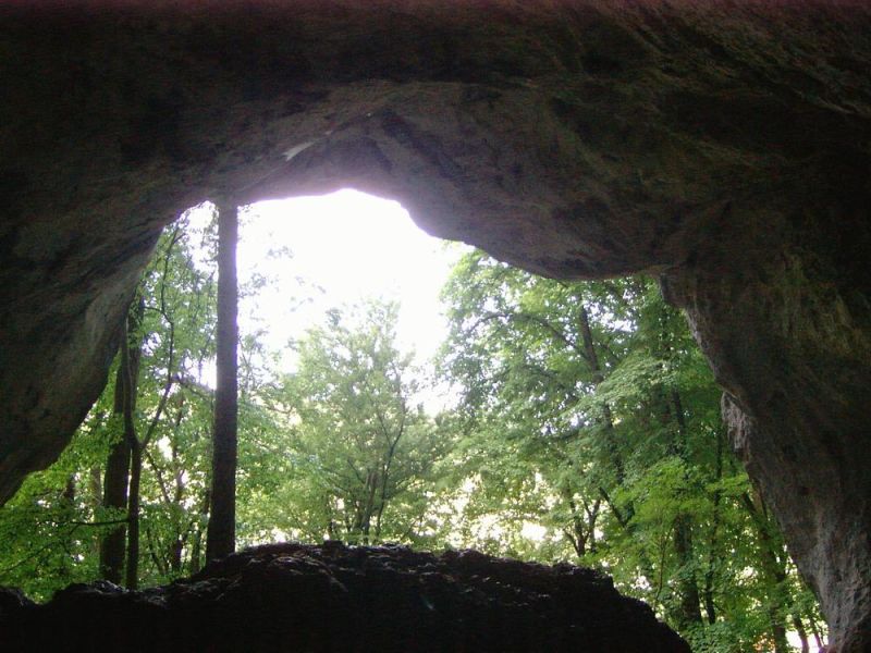 Von Mammutzahn und Höhlenbär