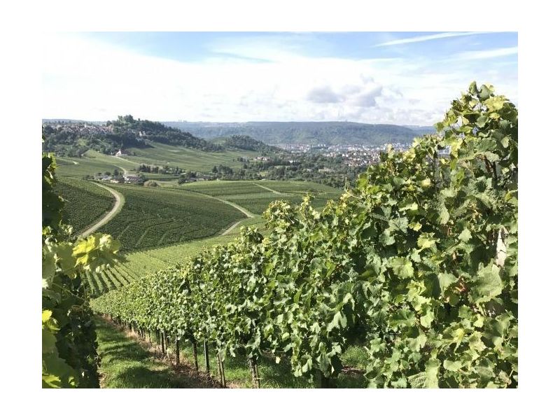 VDP Weintour in Stuttgart | Weinwege Württemberg ...