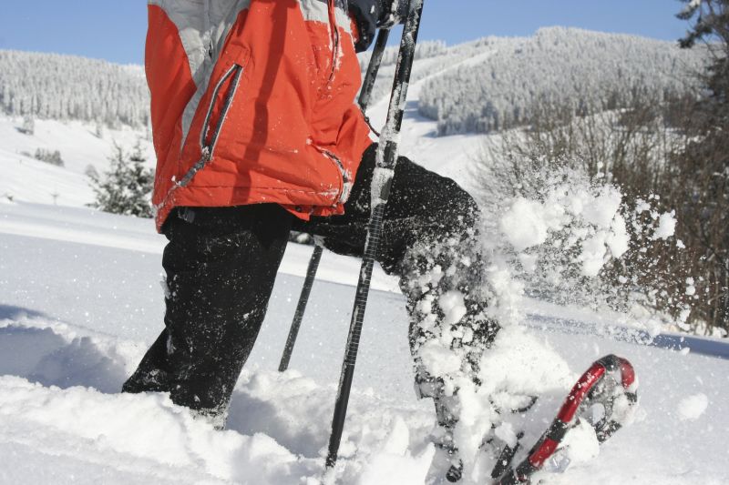 Schneeschuhwandern auf den Höhen von Todtnauberg