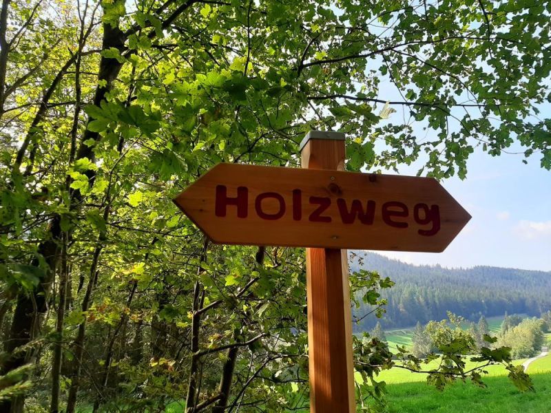Spiel - Spaß - Entspannung - Der Holzweg in Lambach Familienwanderung