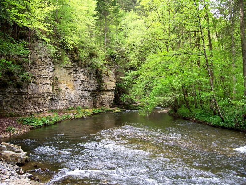 Wutachschlucht. © Hochschwarzwald Tourismus GmbH
