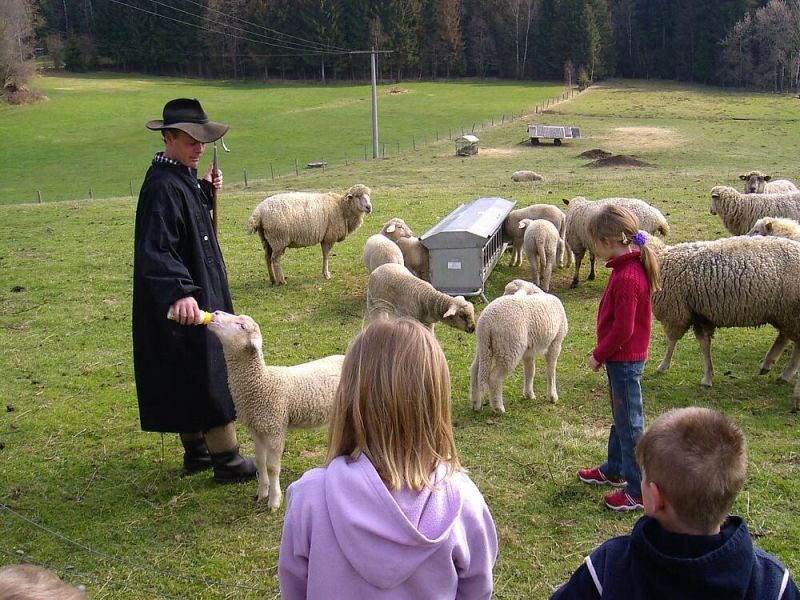 Schafhofführung mit dem Schäfer