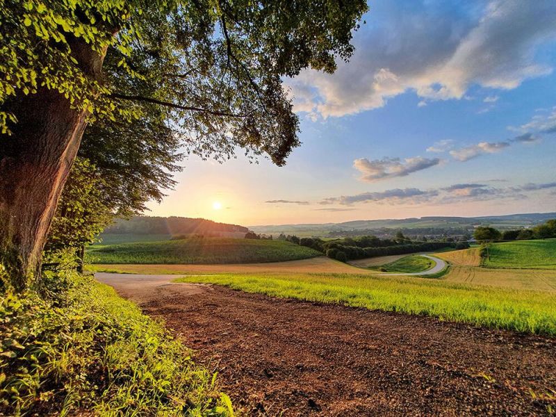 Raus ins Rottal