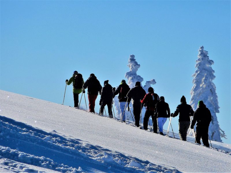 Schneeschuhwanderung: Leichte Tour übers Windeck in Hinterzarten. © SCHNEESCHUH Akademie Hinterzarten
