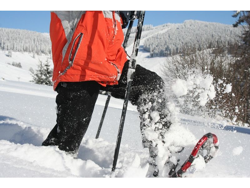 Tages-Schneeschuhtour: Große Feldberg-Runde. © Bergwelt Südschwarzwald