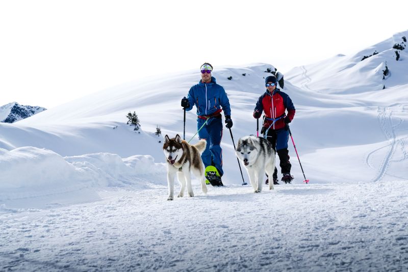 Schneeschuhtour mit eigenem Hund. © Koch alpin