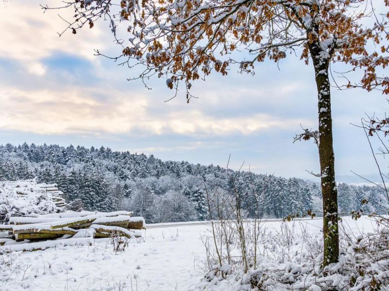 Raus ins Rottal