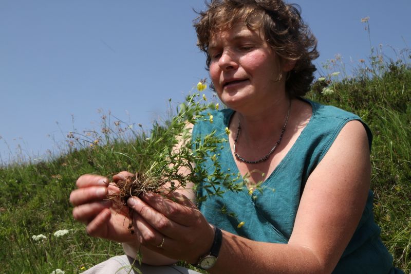 Kräuterfachfrau Martina Keller. © Naturschutzzenrtrum Südschwarzwald
