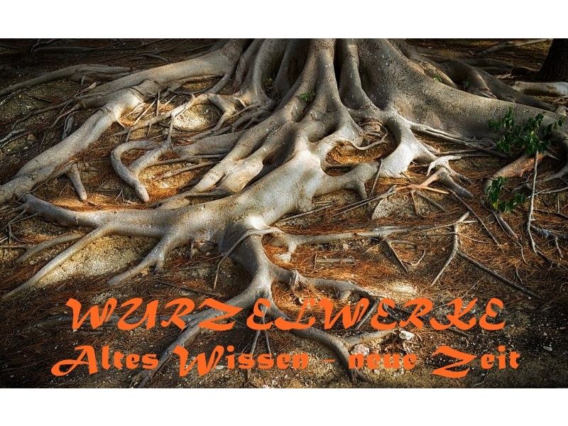 Wurzelwerke: Kinderheilkunde. © Marion Bödecker