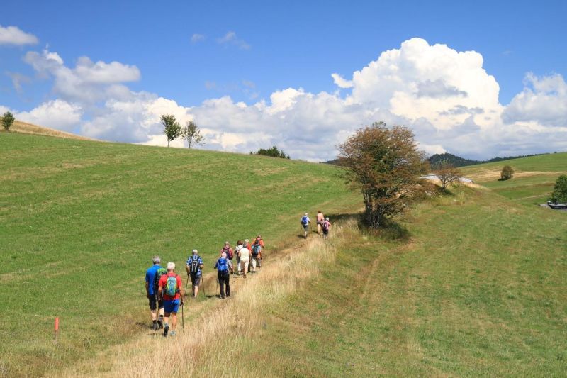 Premiumweg Ibacher Panoramaweg, geführte Wanderung des Schwarzwaldvereins