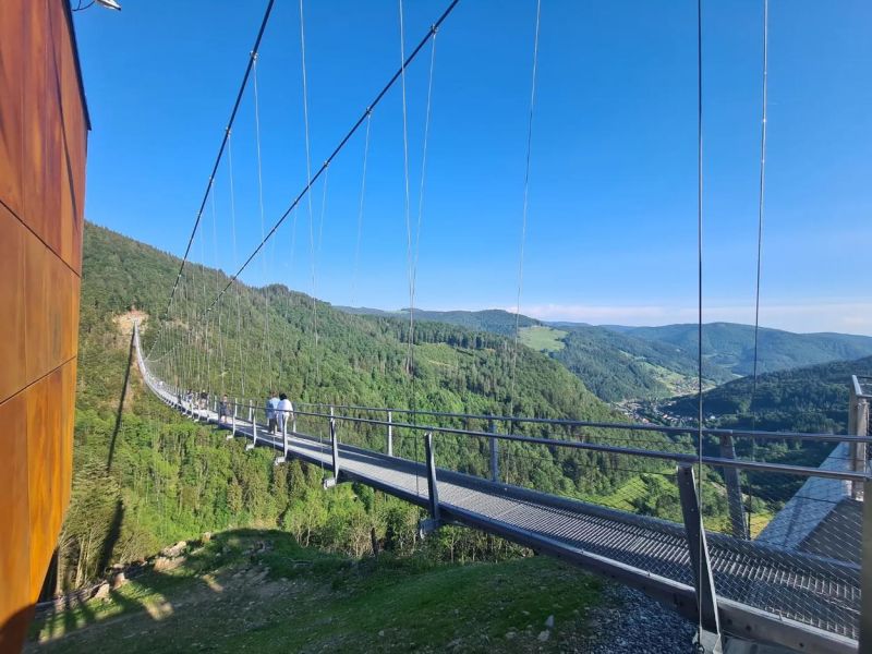 Wanderung zur Blackforestline