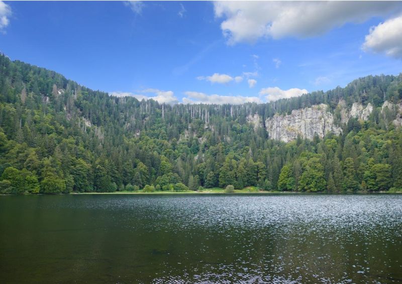 Genießerpfad Feldbergsteig, geführte Wanderung des Schwarzwaldvereins
