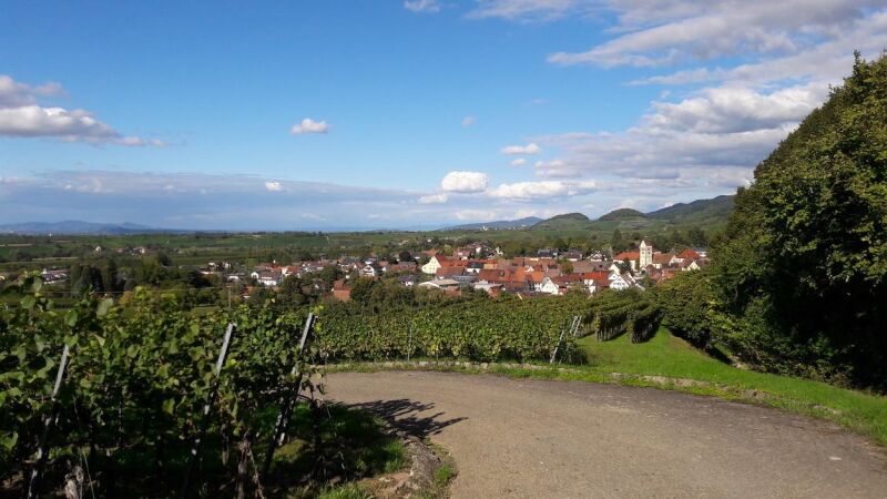 Wanderung durch die Weinberge zur Burgruine Neuenfels