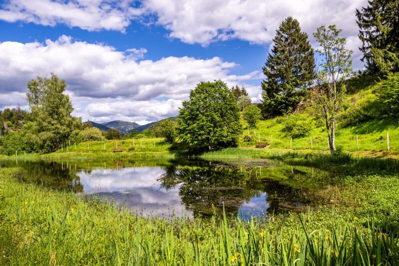 Vom Wald zur Weide - das Biosphärengebiet hautnah erleben