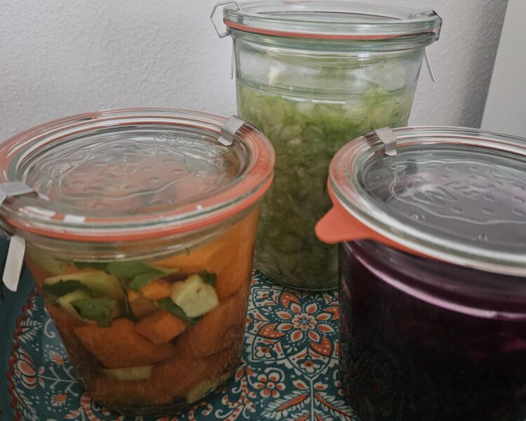 Workshop Fermentieren