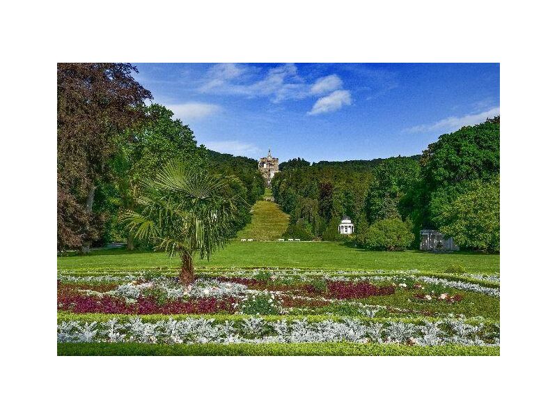 Kasseler Gartenkultur - Botanik Führung im Bergpark Wilhelmshöhe