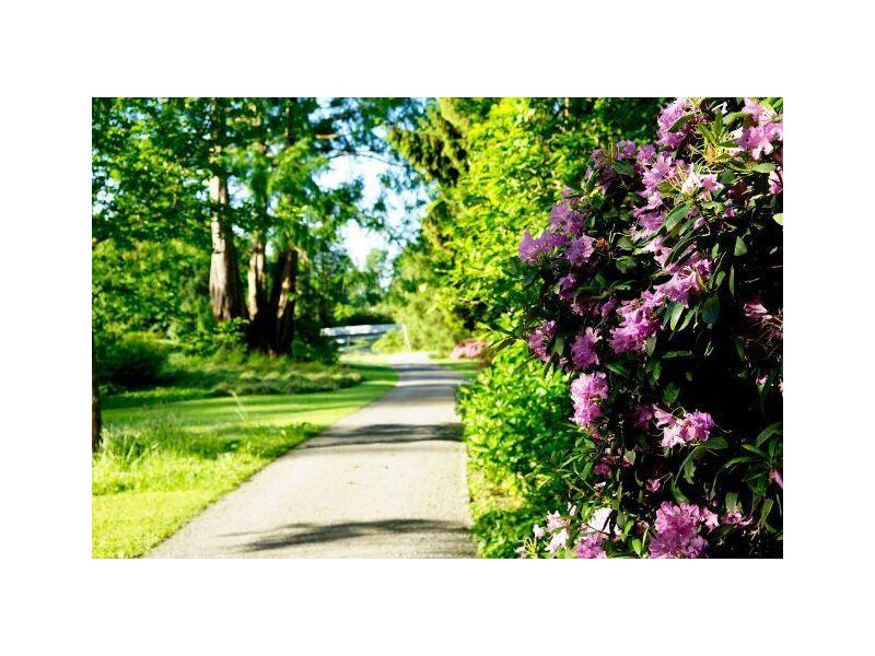 Blumen, Barock und Kunst: Ein Spaziergang von der Insel zur Stadt