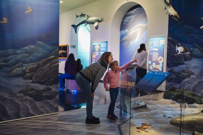Familienführung: Giganten der Urmeere