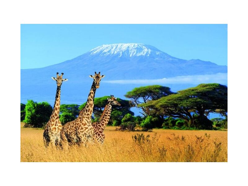 Dia-Vortrag: Abenteuer Kilimanjaro