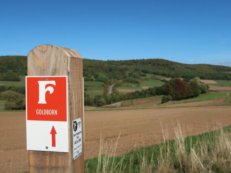 Entdeckertour: Fabelweg Goldborn im Knüll 8 oder 12 km