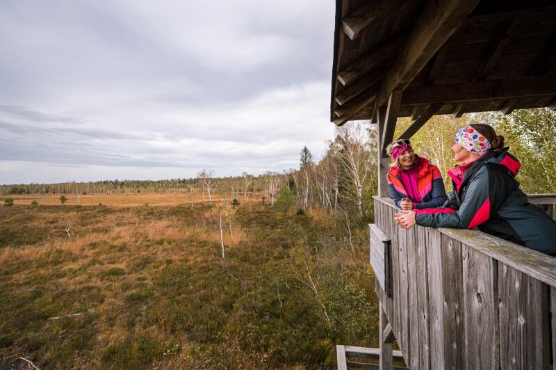 Chiemgauer Wanderherbst: Zwischen Wiesen, Moor und Wanderherbst