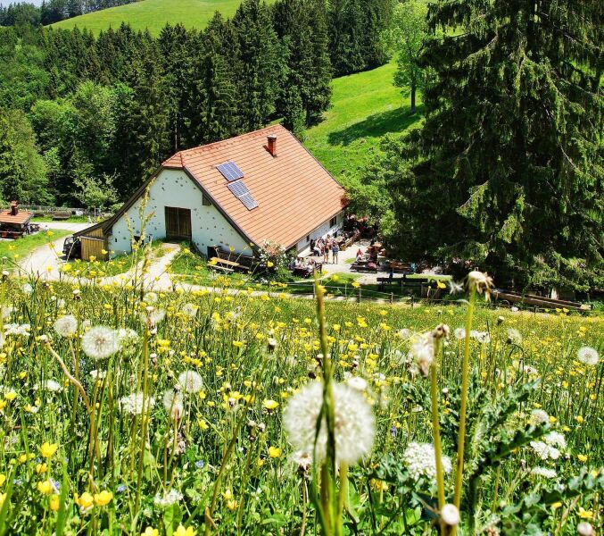 Geführte Wanderung: Die Geschichte des Salzes
