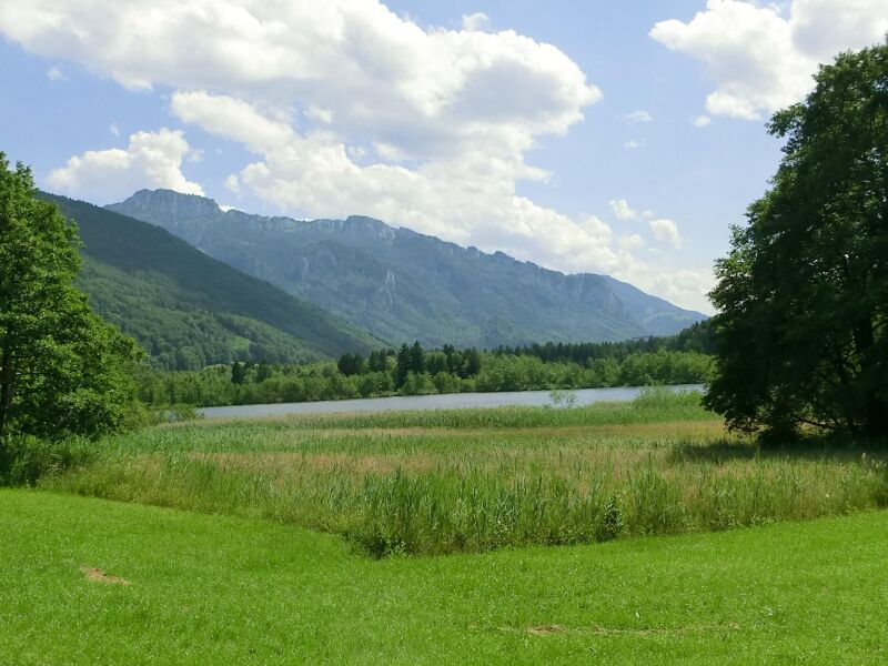 Naturspaziergang über Spöck zum Bärnsee