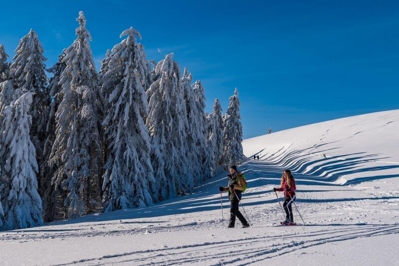 Schneeschuhwanderung: Leichte Panoramatour am Belchen