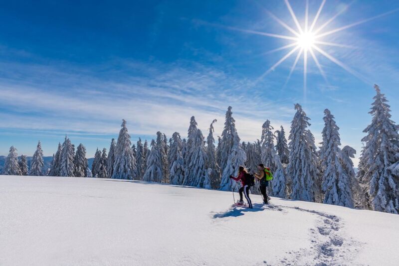 Schneeschuhwanderung: Halbtagestour am Belchen
