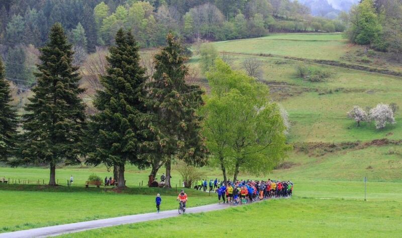 12. Wiesentäler Wasserlauf