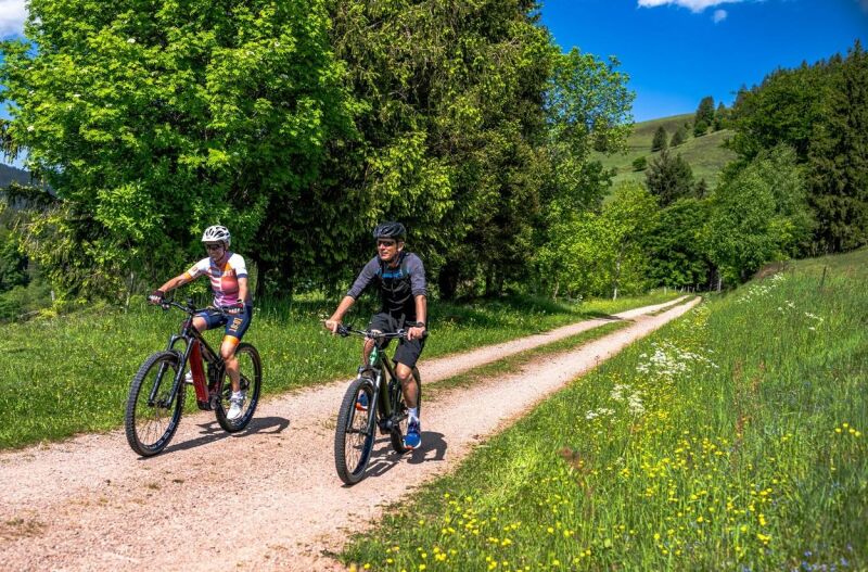 E-Bike-Tour des Schwarzwaldvereins zur Hohen Möhr