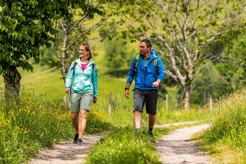 Wanderung des Schwarzwaldvereins